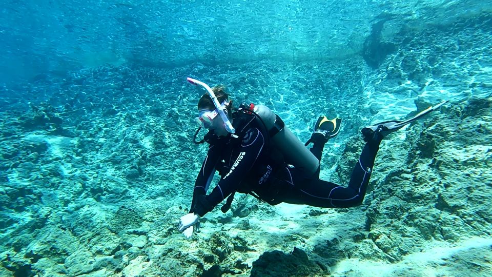 Heraklion: Scuba Diving Trip for Beginners - Additional Services