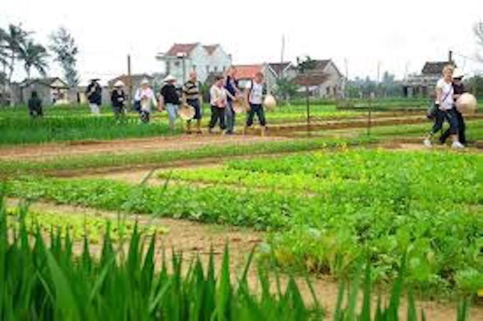 Hoi An: Countryside Biking - Market - Farming -Cooking Class - Location Details