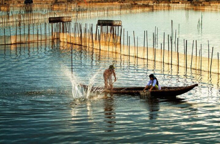 Hue Countryside Motorbike Tour With Fishing by Net & Trap - Key Points