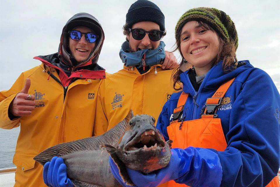 Icelandic Sea Fishing From Reykjavik - Last Words