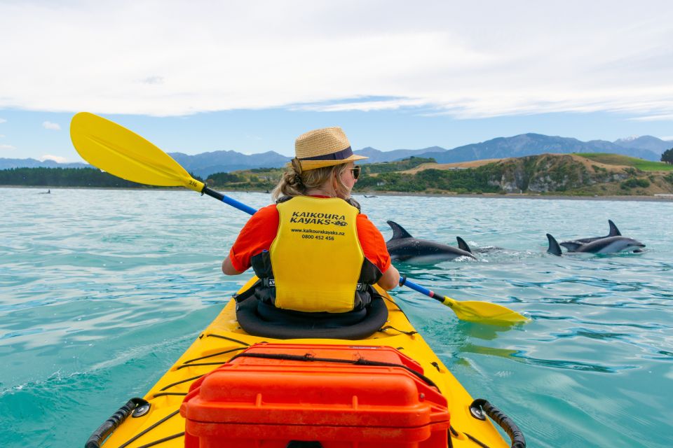 Kaikoura: Half-Day Wildlife Kayaking Tour - Common questions