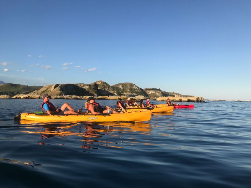 Kaikoura: Seal-Watching Pedal Kayak Tour - Common questions