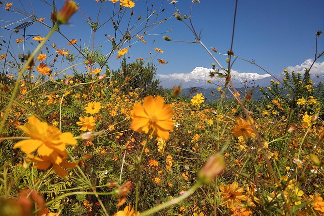 Kathmandu and Pokhara: A Journey Through Nepals Cultural and Natural Wonders - Travel Tips and Recommendations