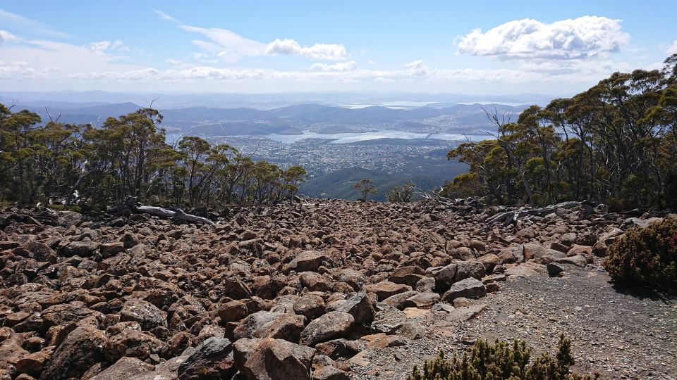 Kunanyi & Mt Wellington Explorer Bus: One-Way Bus Pass - Booking Information