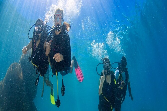 Kusadasi Beginners Discover Scuba Dive W/Transfers & Lunch - Customer Support and Inquiries