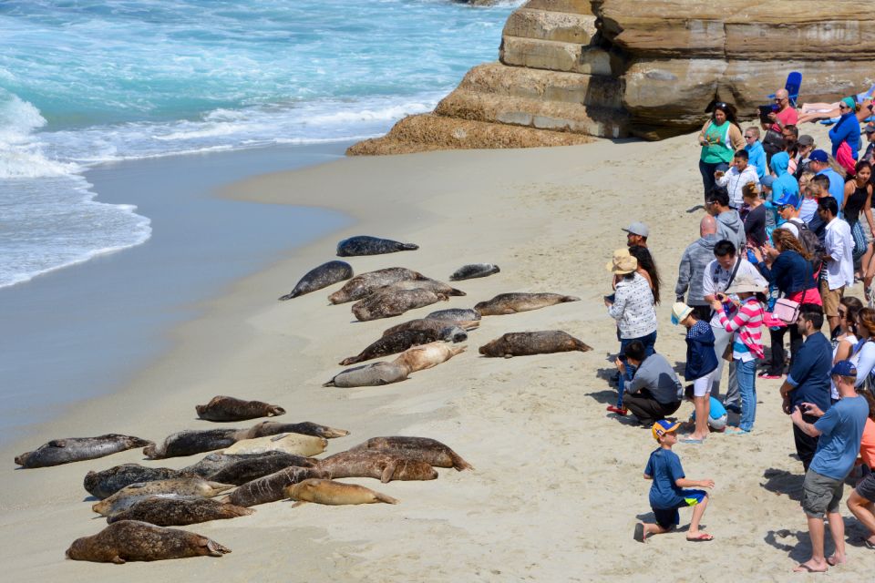 La Jolla: Ultimate Self-Guided Combo Tour - Travel Tips