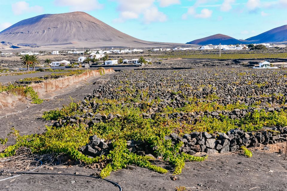 Lanzarote: Volcanos of Timanfaya and Caves Tour With Lunch - Last Words