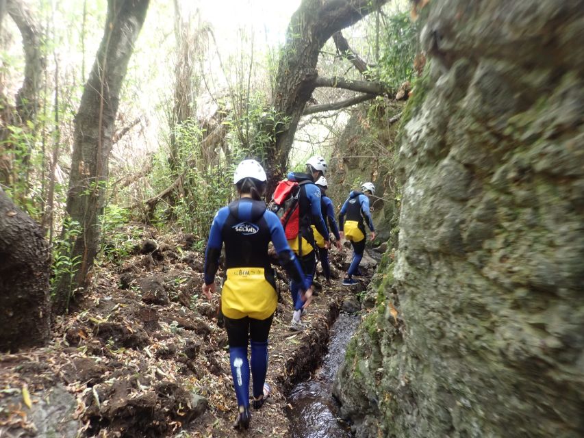 Las Palmas, Gran Canaria: Canyoning Adventure - Preparing for the Adventure