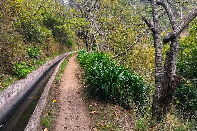 Levada Do Norte - Walking Tour - Last Words