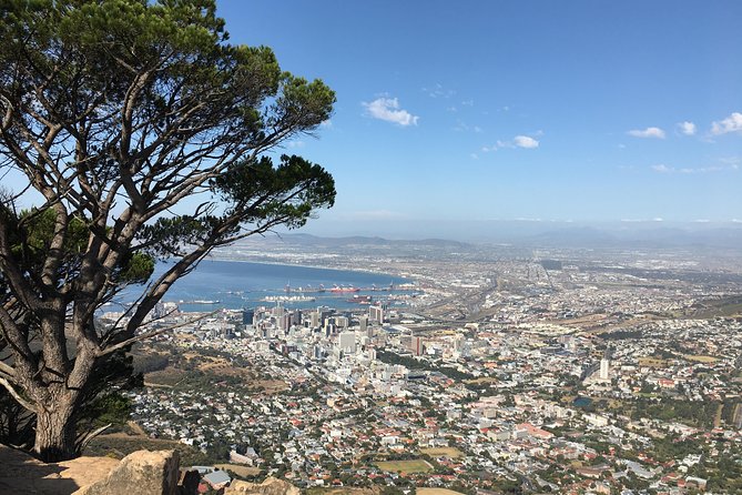 Lions Head Hike - Private Tour - Additional Details