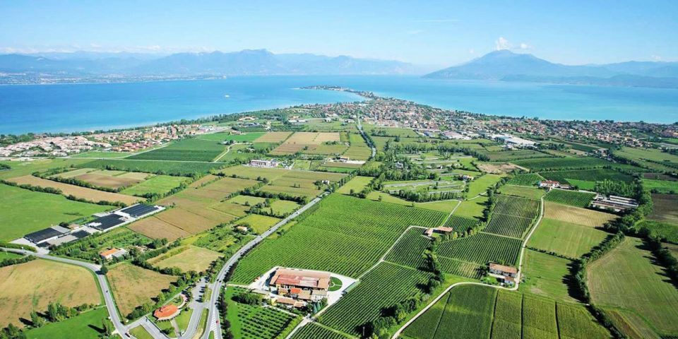 Lugana Wine Tour With Private Panoramic Boat on Lake Garda - Customer Reviews and Testimonials