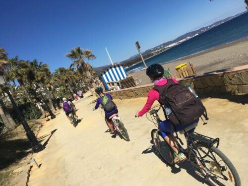 Malaga: Private Guided Bike Tour - Last Words