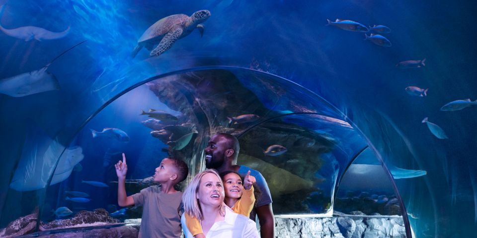 Mall of America: Sea Life Minnesota Aquarium Entry Ticket - Last Words