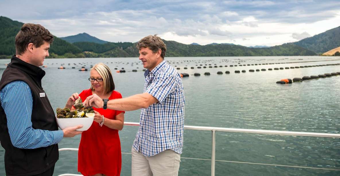 Marlborough Sounds: Greenshell Mussel Cruise - Additional Tips