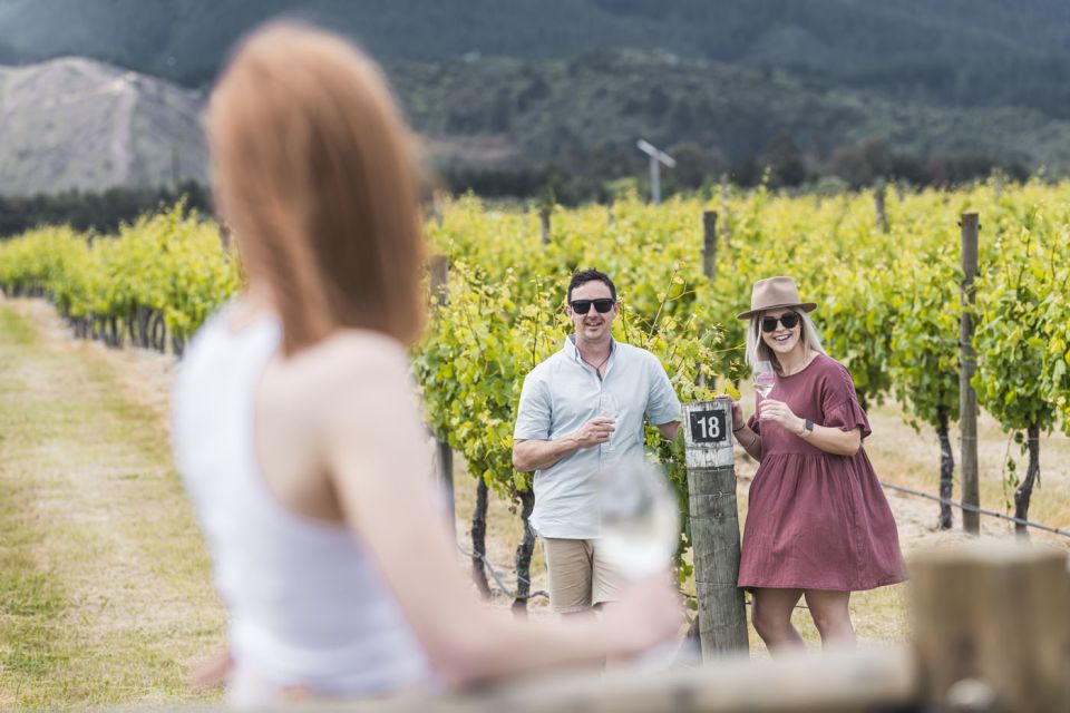 Marlborough: Wineries Visit With Tastings and 2-Course Lunch - Last Words