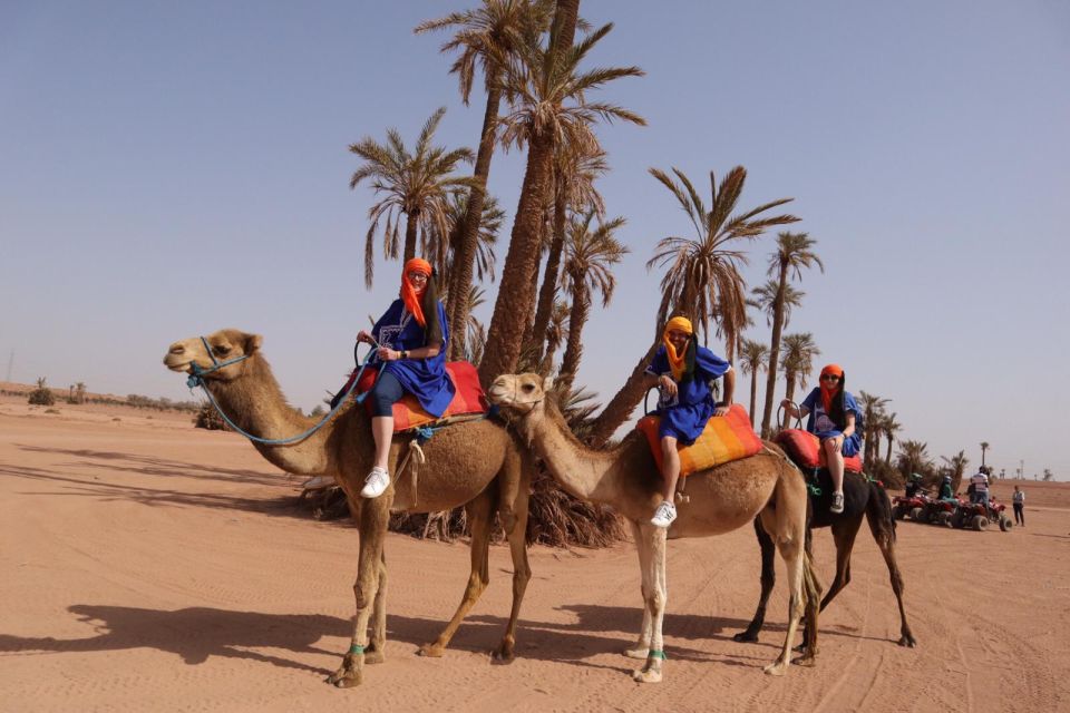 Marrakech: Camel Ride in the Palm Grove - Common questions