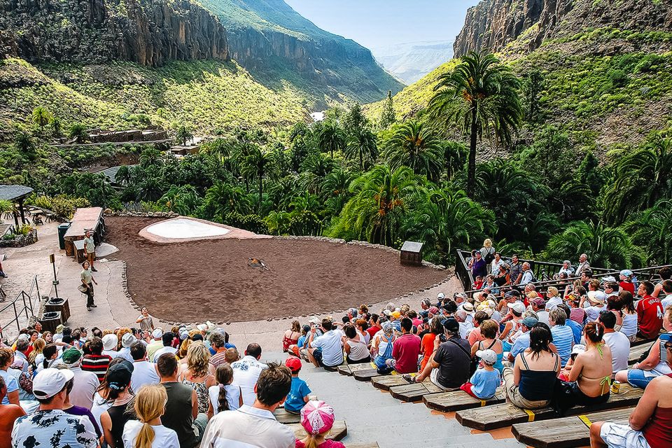 Maspalomas: Palmitos Park Ticket With Dolphin and Bird Shows - Summary