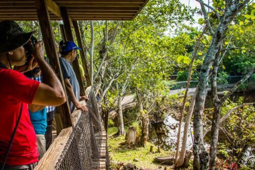 Miami: Everglades Safari Park Airboat Tour and Park Entrance - Last Words