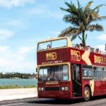 8 miami wynwood walls skip the line hop on hop off bus tour Miami: Wynwood Walls Skip-the-Line & Hop-on Hop-off Bus Tour