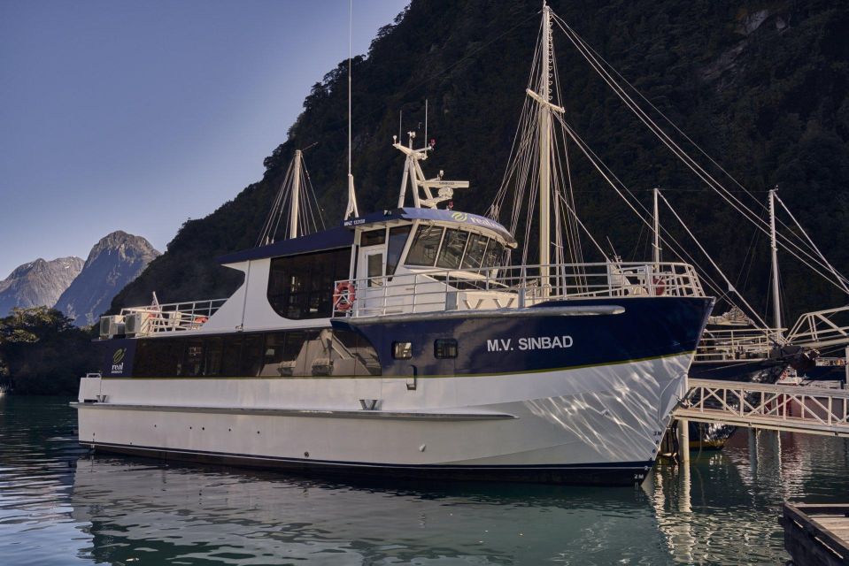 Milford Sound: Premium Small Group Cruise With Canape Lunch - Unforgettable Wildlife Encounters