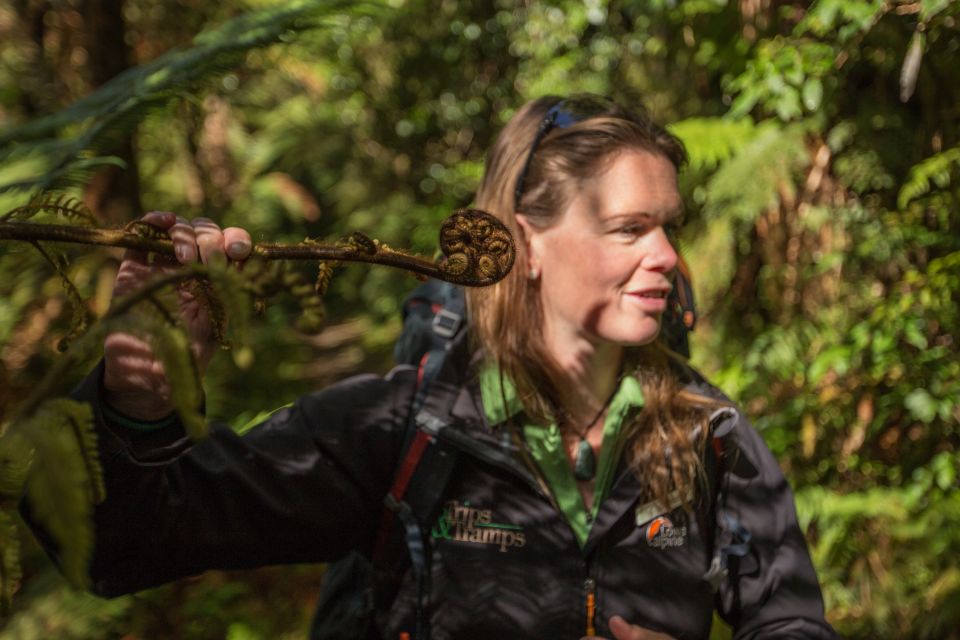 Milford Track: Full Day Guided Hike and Nature Cruise - Last Words