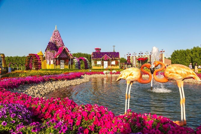 Miracle Garden Dubai Tour With Pickup and Drop off From Abu Dhabi - Key Points