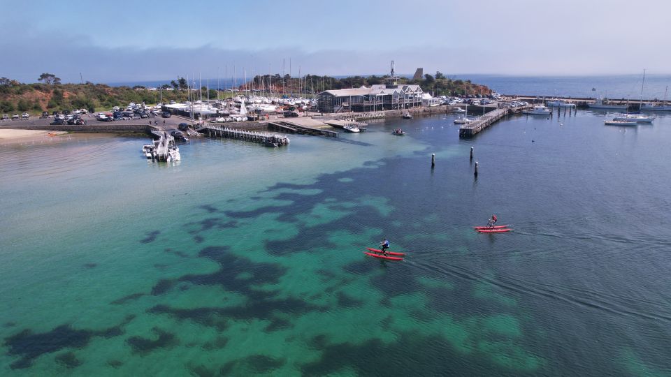 Mornington: Port Phillip Bay Water Bike Tour - Last Words