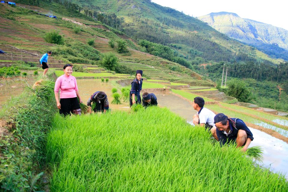 Muong Hoa Valley 2-Day Group Trek With Homestay - Last Words