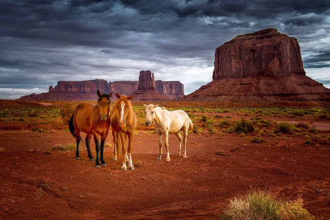 Navajo Tribal Park Monument Valley Self-Guided Driving Tour - Common questions