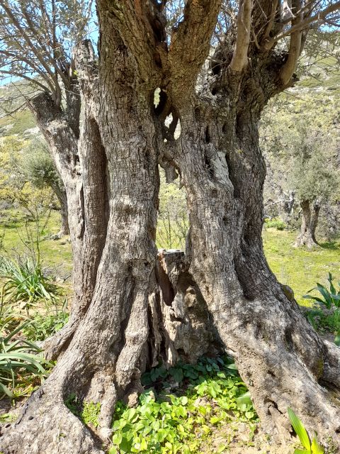 Naxos: Countryside Hike Among Villages & Byzantine Churches - Background