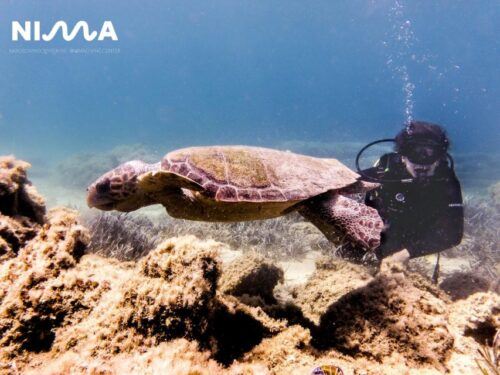 Naxos: Discover Scuba Dive With Nima Dive Center - Booking Information