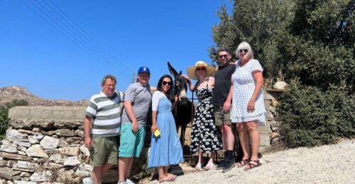 Naxos: Private Day Tour - Common questions