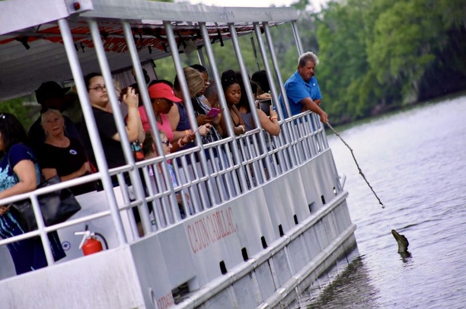 New Orleans: Swamp Tour on Covered Pontoon Boat - Common questions