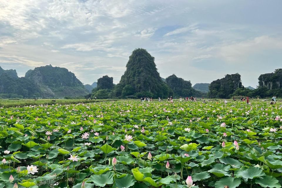 Ninh Binh Private Luxury Discovery - Common questions