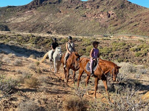 One Hour Horse Riding Tour in Gran Canaria - Last Words