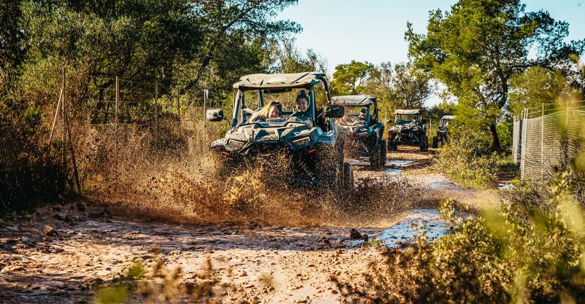 Palma De Mallorca: Off/On Road Buggy Tour With 2 or 4 Seater - Last Words