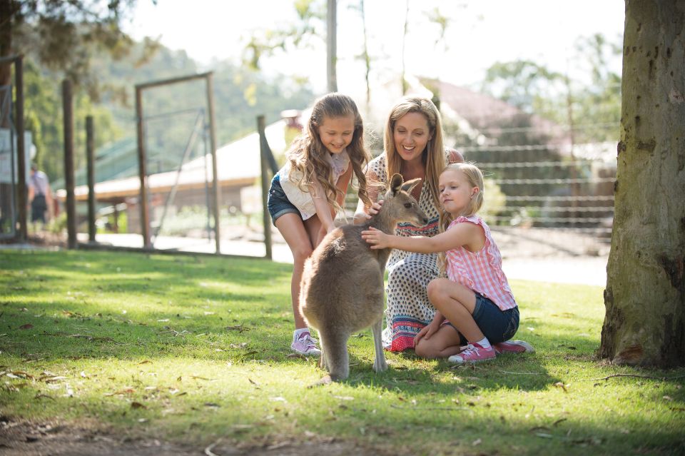 Paradise Country: Ultimate Aussie Farm Experience - Visitor Amenities