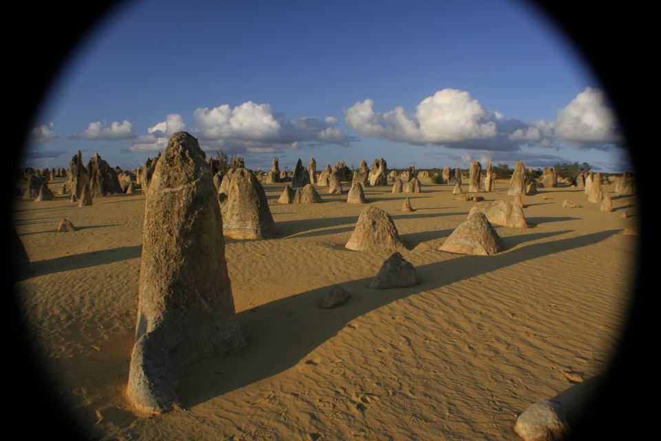 Perth: Pinnacles Desert Bush Walk Guided Tour With Lunch - Departure and Drop-off