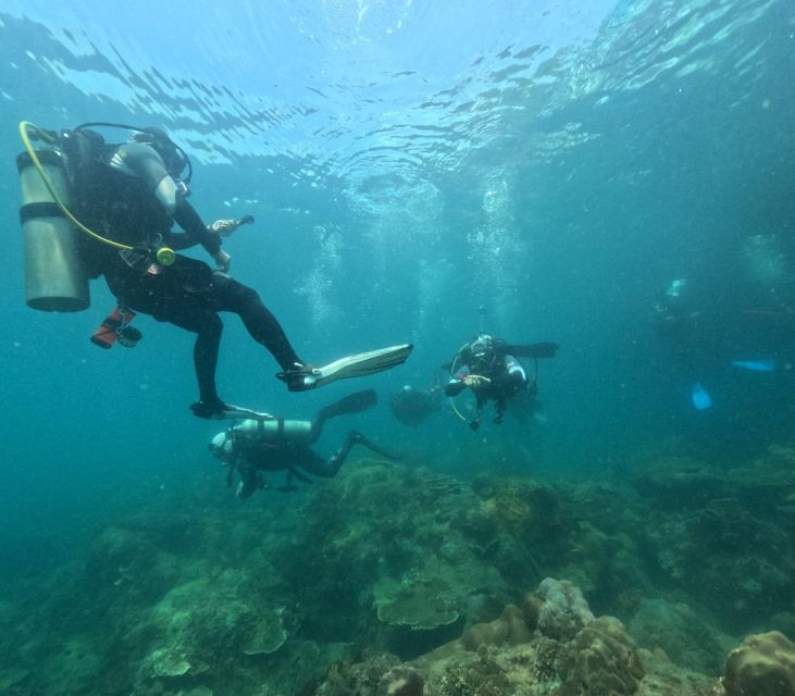 Phu Quoc: Scuba Diving Tour, One Day in Ocean Phu Quoc - Last Words