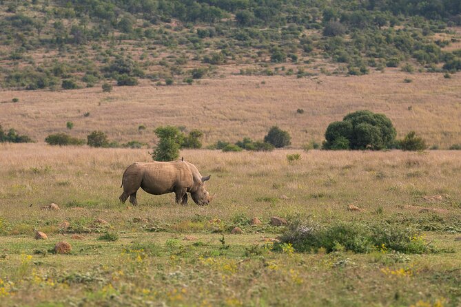 Pilanesberg National Park Private Full-Day Safari Tour  - Johannesburg - Directions