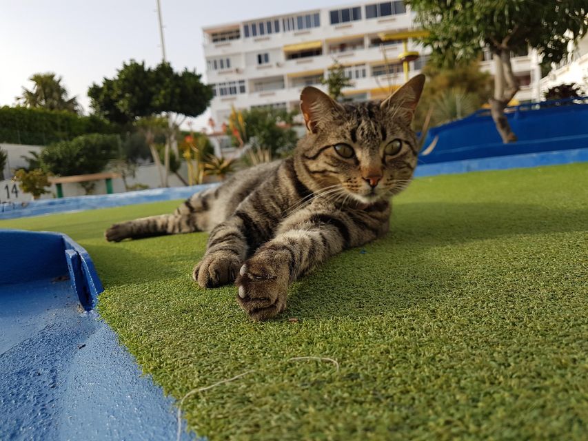 Playa Del Inglés: Minigolf Taidia - Last Words