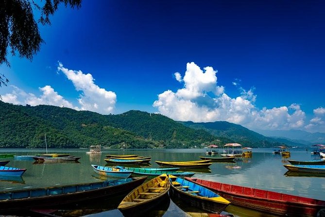 Pleasing Pokhara City With Captivating Chitwan Jungle Tour From Kathmandu - Chitwan Jungle Adventure Activities