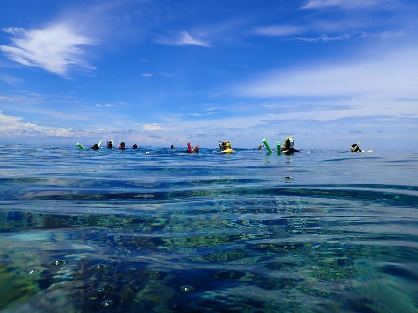 Port Douglas: Outer Great Barrier Reef Snorkeling Cruise - Boarding and Itinerary