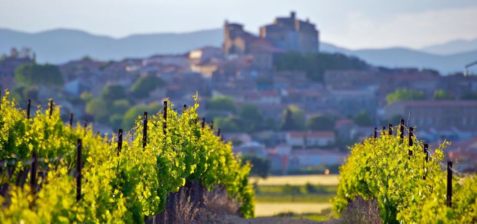 Premium Wine Tour of Rioja With Gourmet Lunch (From Bilbao) - Additional Options