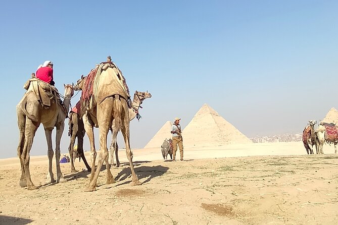 Private Half Day Pyramid Tour in Cairo - Review Details and Verification