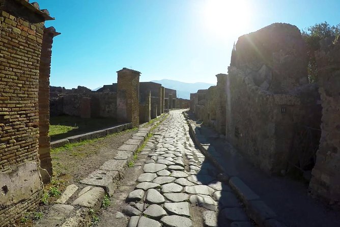 Private Mt Vesuvius and Pompeii With Lunch and Wine Farm Experience - Common questions
