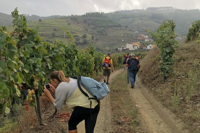 Private Walking Tour and Wine Tasting in Douro Quinta Dos Murças - Weather-Related Refunds
