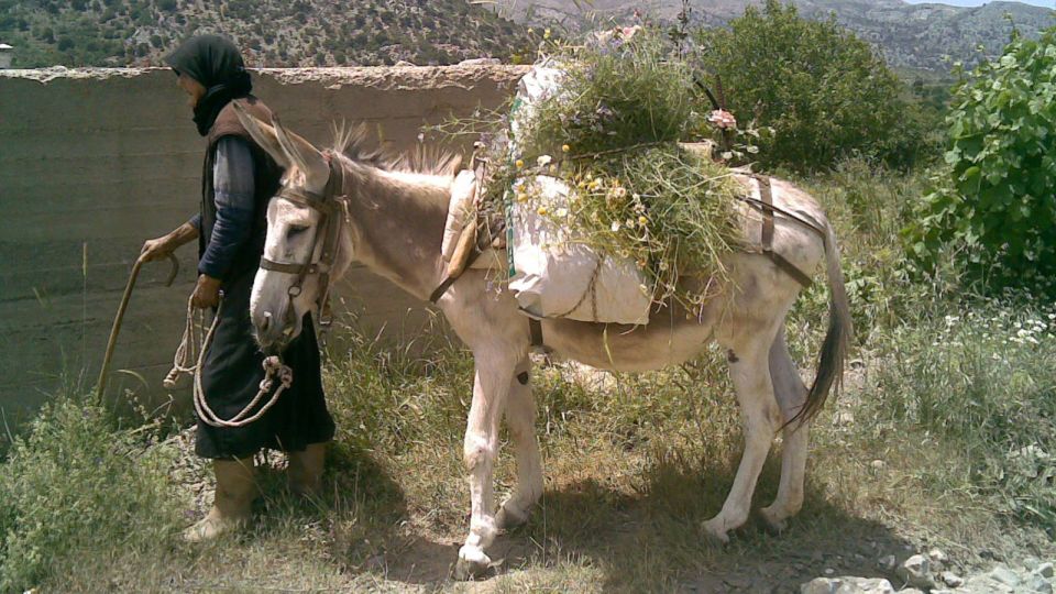 Rethymno Land Rover Safari in Southwest Crete - Last Words