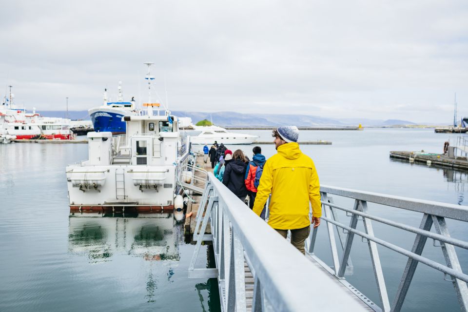 Reykjavik: Puffin Watching Boat Tour - Common questions