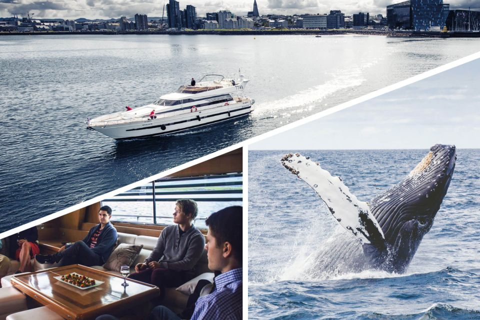 Reykjavik: Whale Watching and Dolphin Watching Yacht Cruise - Directions